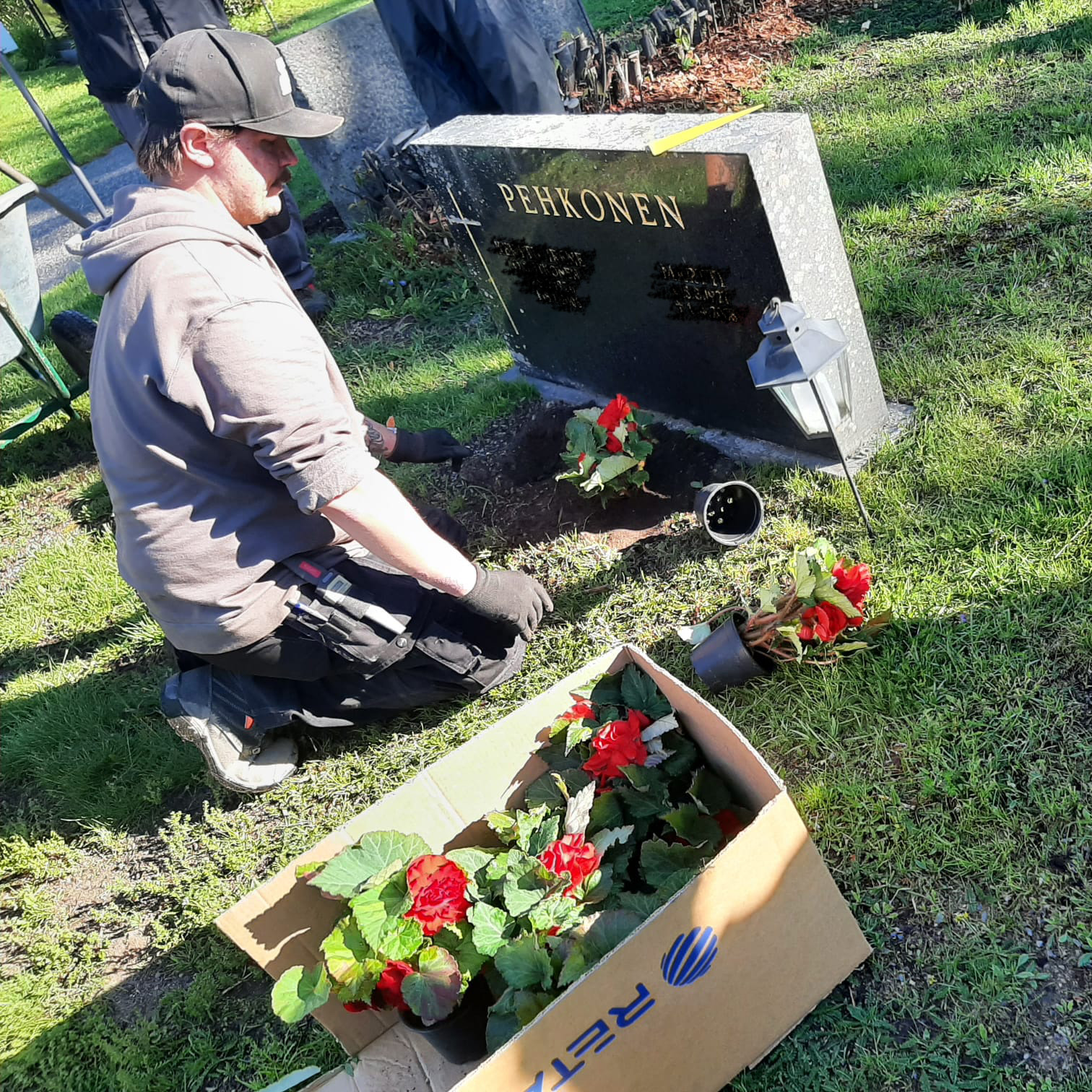 Hautausmaan työntekijä istuttamassa kukkia haudalle.