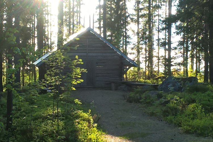 Metsäkirkko Metsäkirkko