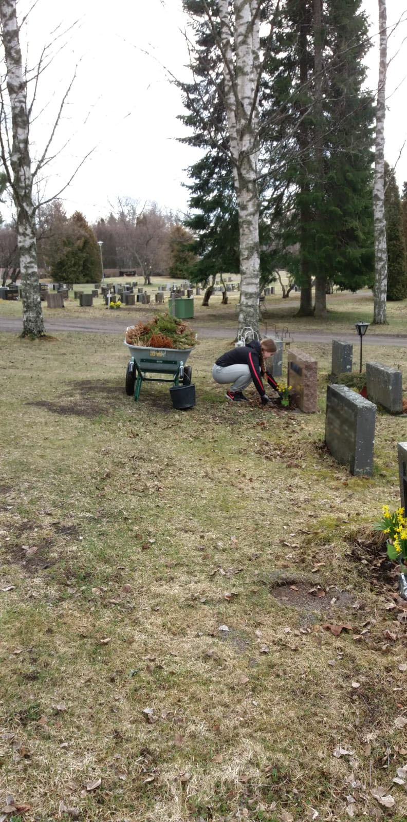 Kottikärryt pursuvat puutarhajätettä.