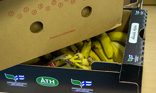 Banaaneja laatikossa