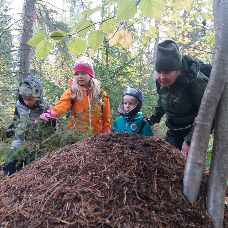 Muurahaispesää tutkimassa.