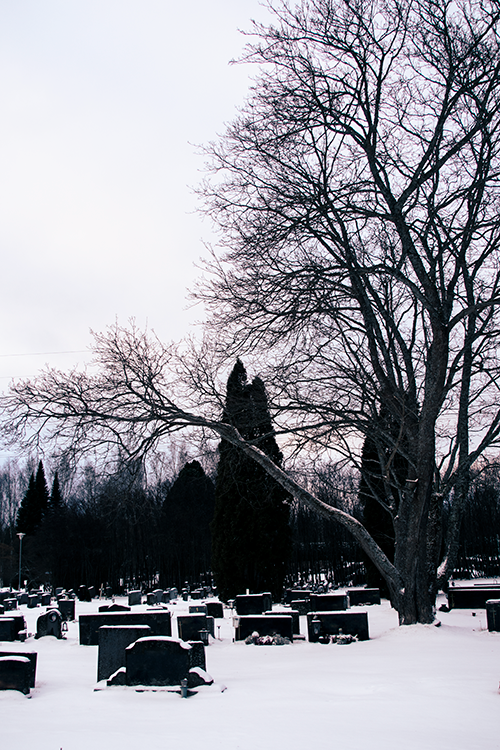 Talvisin hautoja koristaa lumikerros sekä ympäröivät puut. (SR).