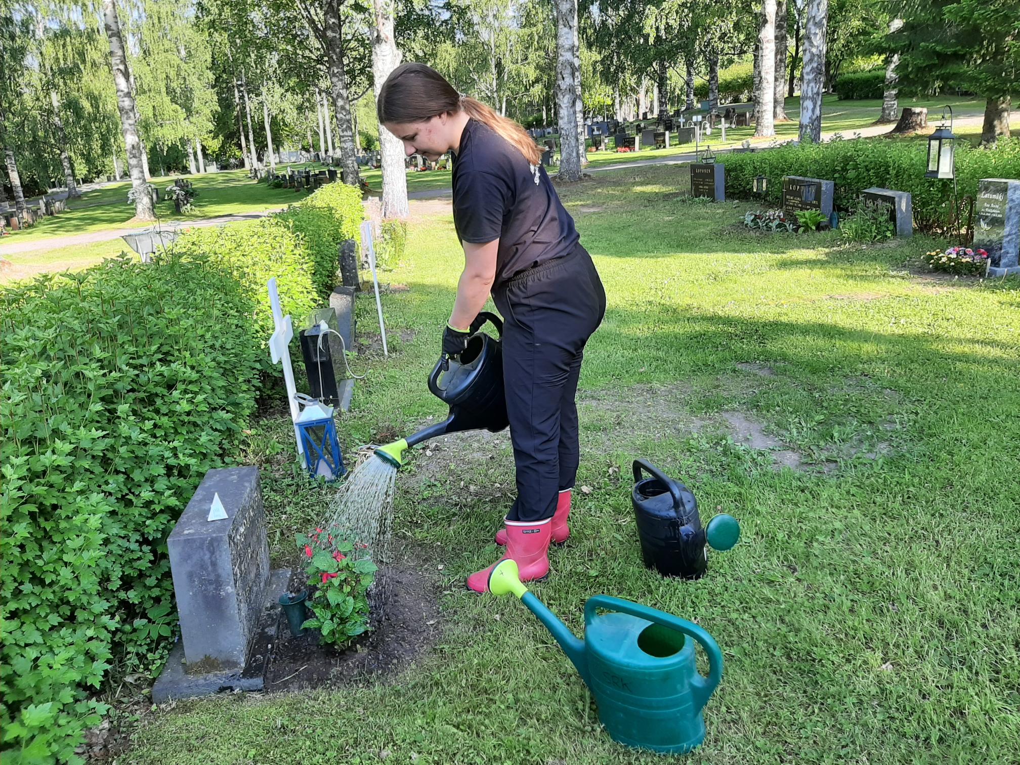 Nainen kastelemassa kukkia hautausmaalla.