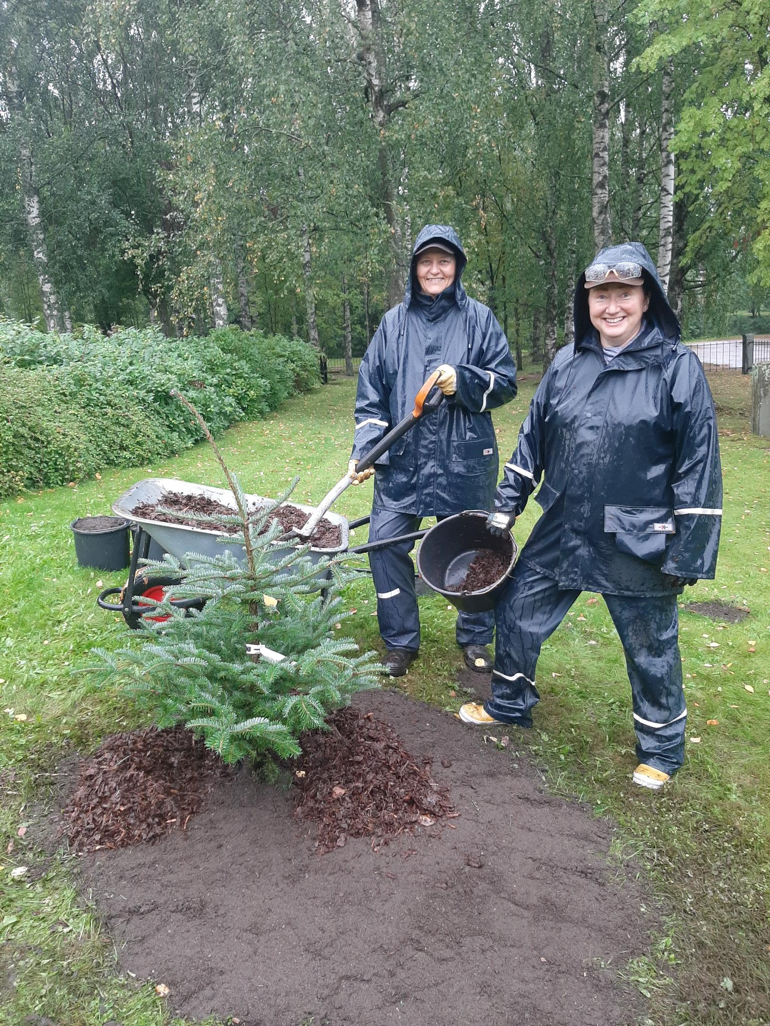 Sadeasuiset naiset hymyilevät istuttamansa kuusen taimen vieressä.