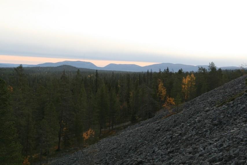 Lappi.